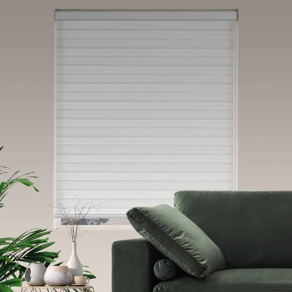 Zebra Roller Shades